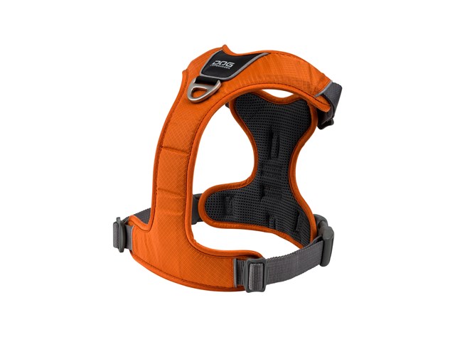 Comfort Walk Pro Harness New 2020 - Orange Sun