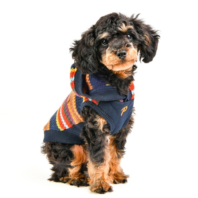 Lennon Navy - Hundegenser