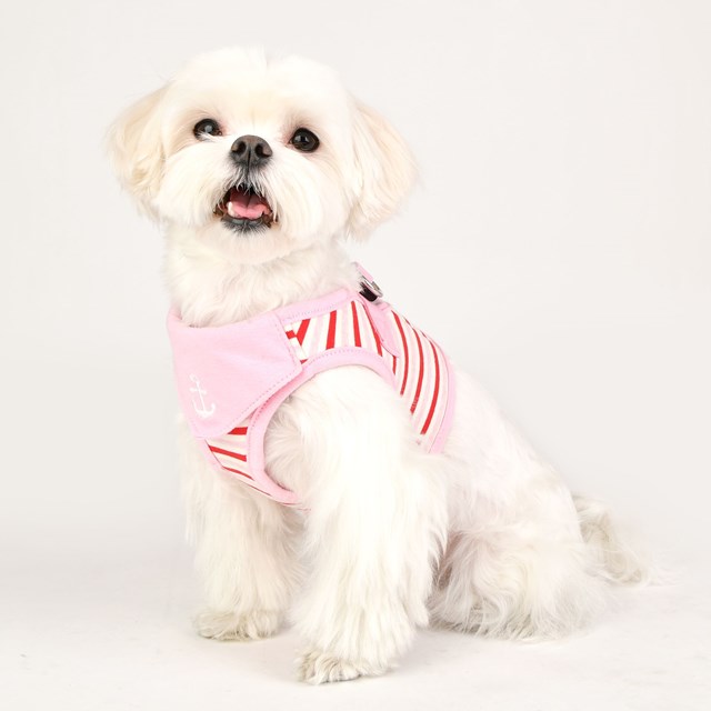 Seaman Pink - Jacket Hundesele