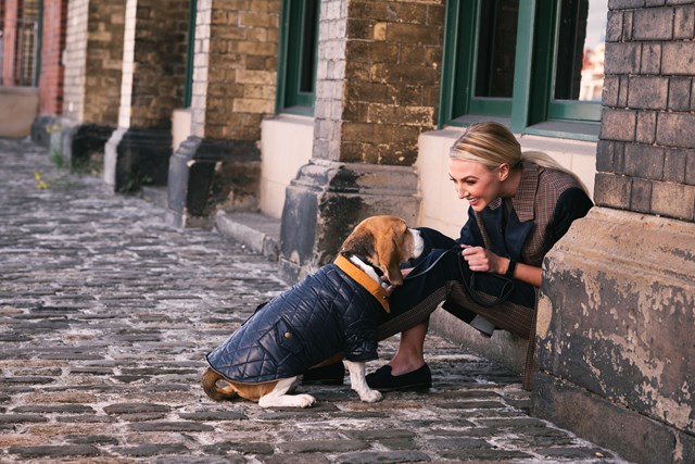 Navy Quilted Town & Country - Hundejakke