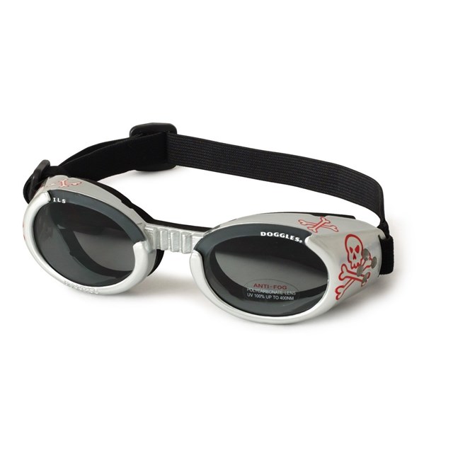 Hundebriller ILS - Silver Skull / Smoke Lens