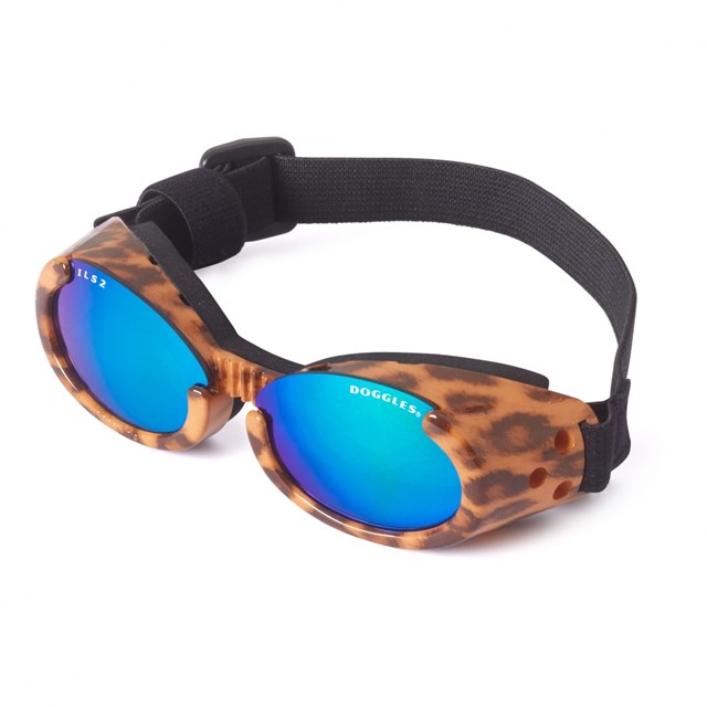 Hundebriller ILS - Leopard / Blue Lens