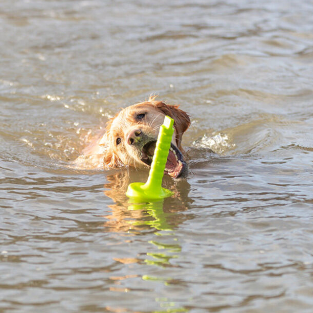 Dog Activity MOT Aqua Flytende Hundeleke Limegrønn