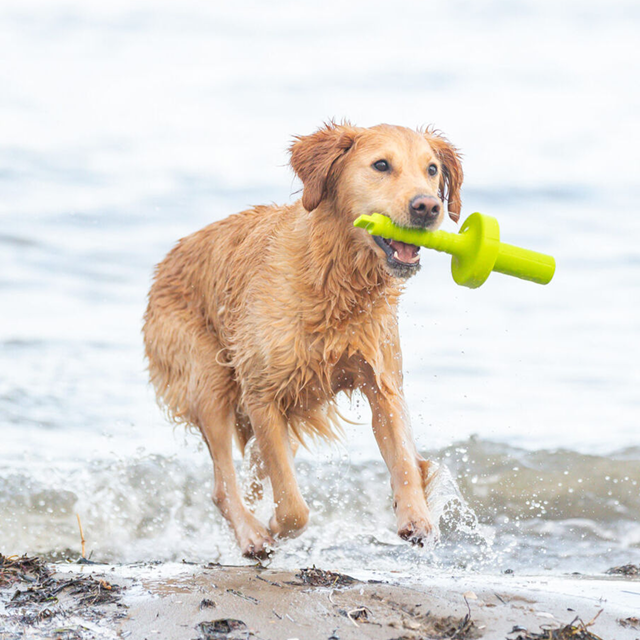Dog Activity MOT Aqua Flytende Hundeleke Limegrønn