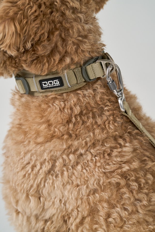 Urban Explorer 3.0 Halsbånd Desert Dune