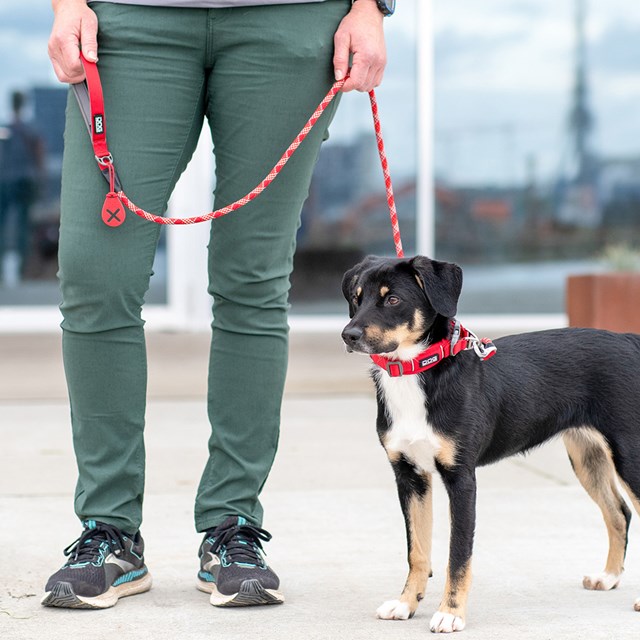 Urban Rope Leash Hundekobbel 3.0 - Classic Red