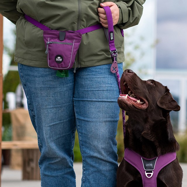 Urban Rope Leash Hundekobbel 3.0 - Purple Passion