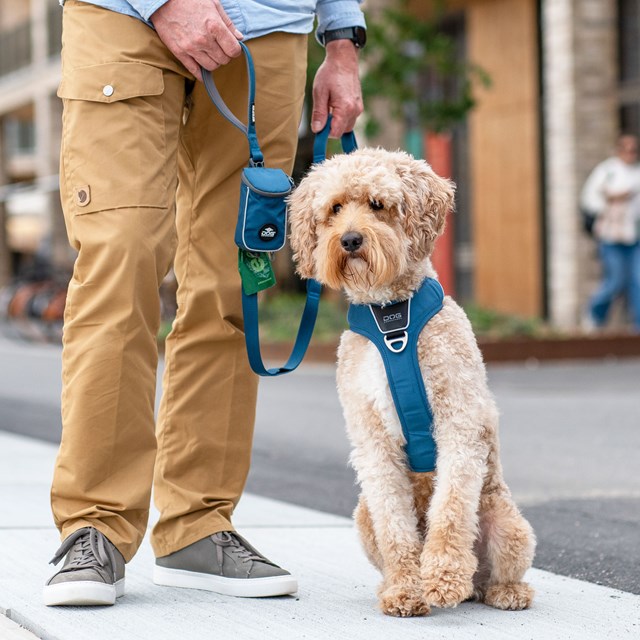 Urban Trail Leash Hundekobbel 3.0 - Ocean Blue