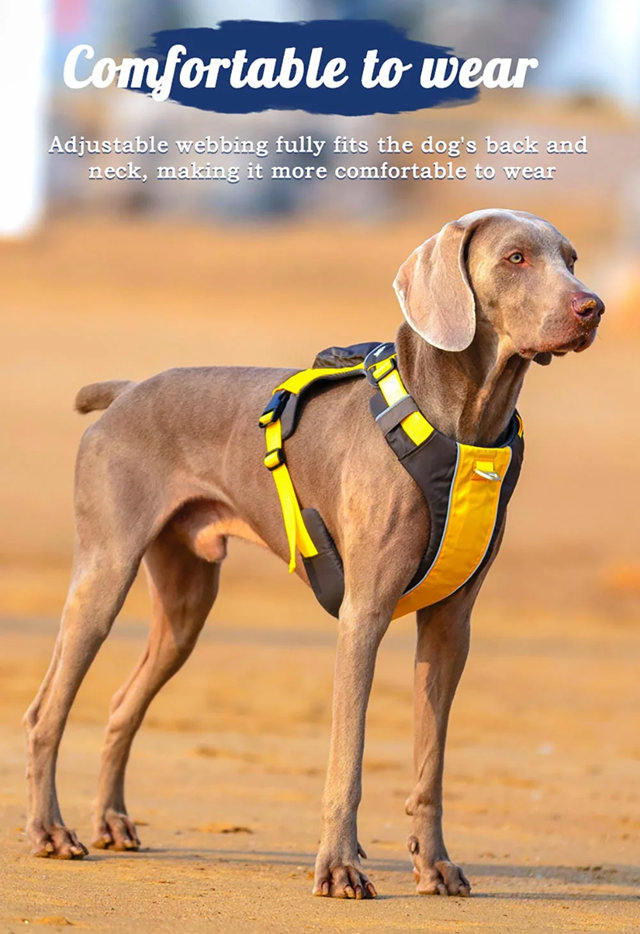 Safe-Walk Backpack Harness - Gull