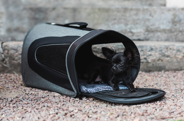 Dogman Bæreveske Snobben opptil 7 kg - Grå