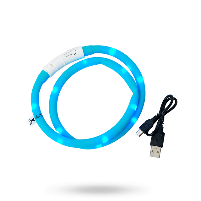 Dogman LED Halsbånd Tyrkis