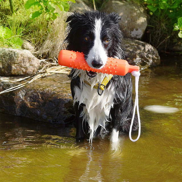 Dogman Dummie Floating Toy
