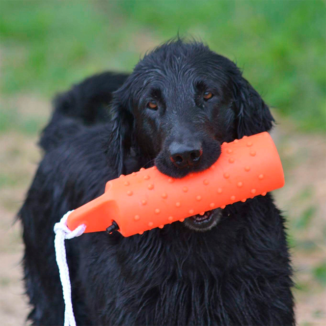Dogman Dummie Floating Toy