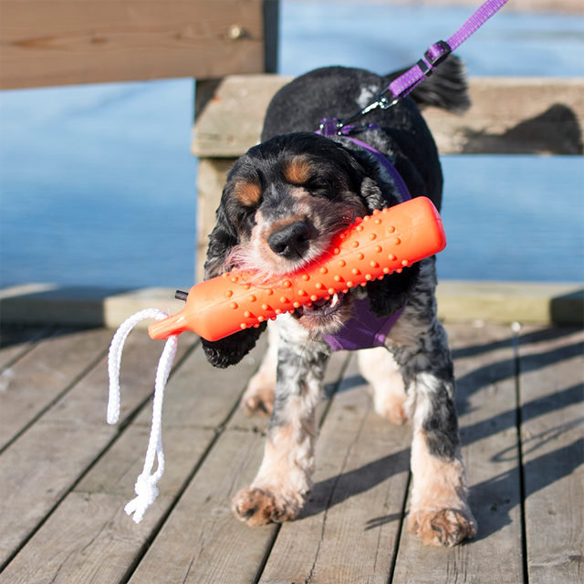 Dogman Dummie Floating Toy