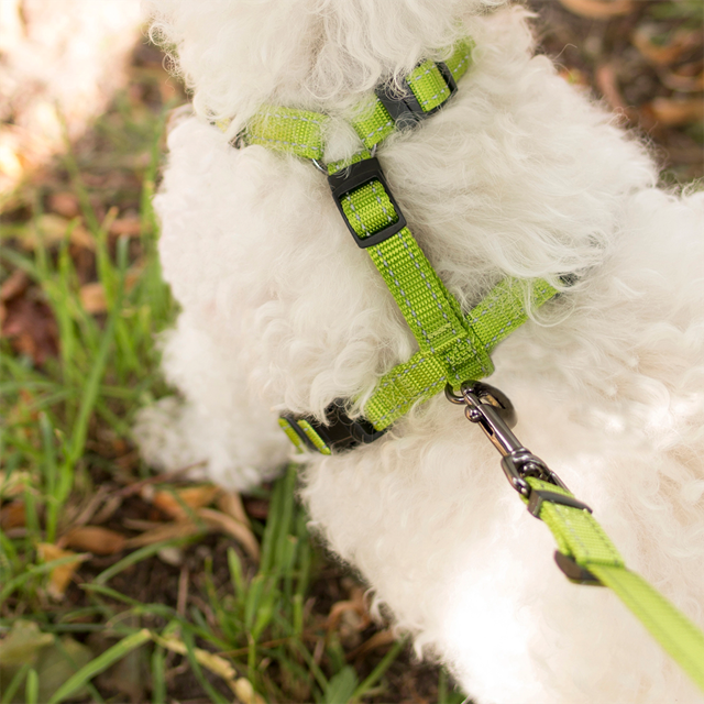 Dogman Hundesele Iris - Svart