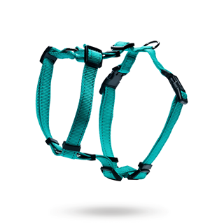 Dogman Hundesele Iris - Turkis