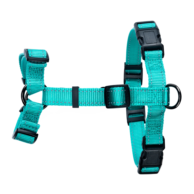 Dogman Hundesele Iris - Turkis