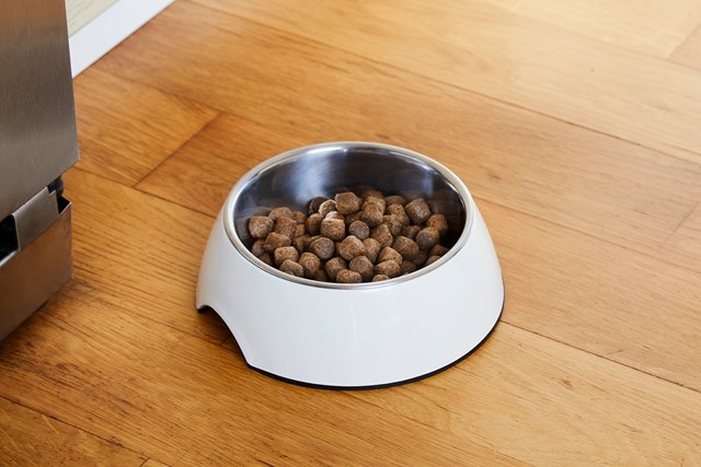 Dogman Skål Alba - Beige