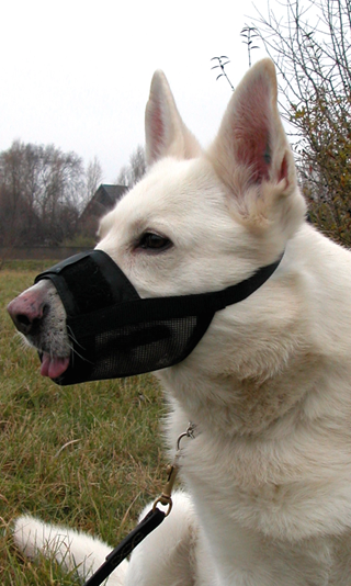 Dogman Munnkurv Myk Svart