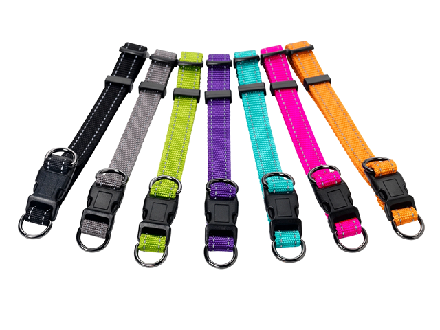 Dogman Nylonhalsbånd Iris justerbart - Grå