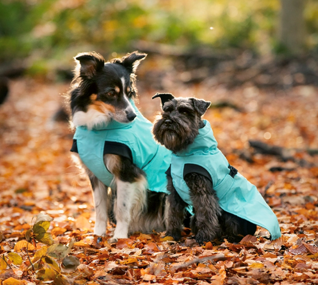 Dogman Regndekken Aqua - Svart