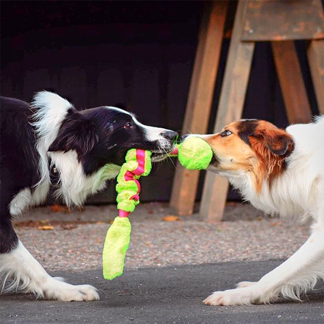 Dogman Stretchy Leke Grønn
