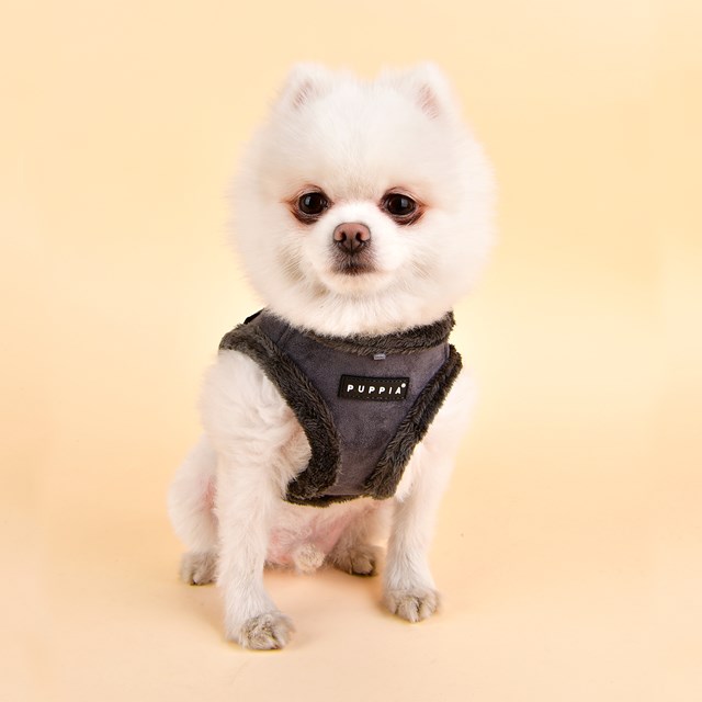 TERRY Grey - Fôret Jacket Hundesele