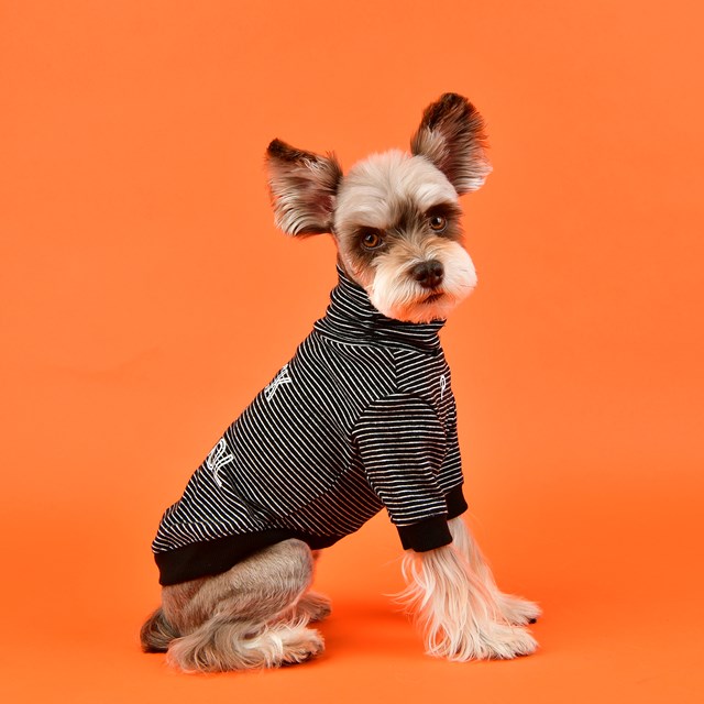 Back To School Black - Hundegenser