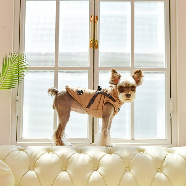 Mountaineer II Beige - Fôret Hundedekken med Integrert Sele