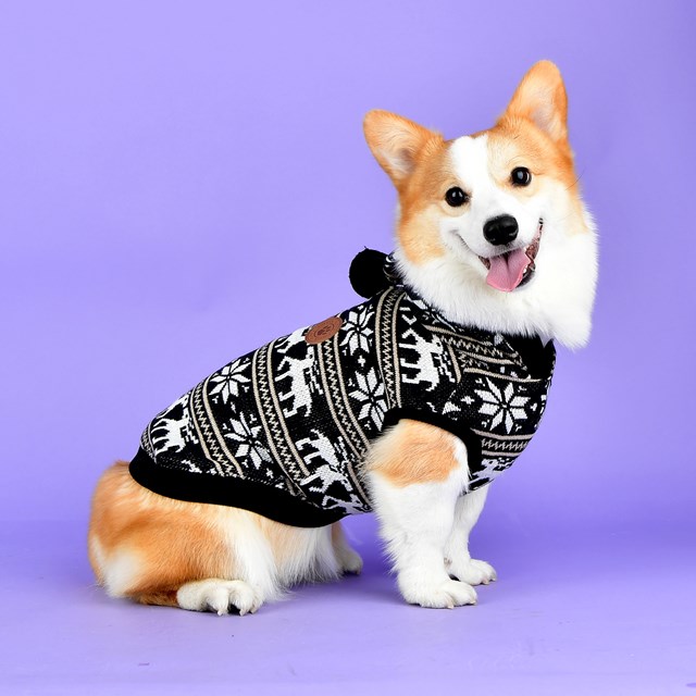 PRANCER - Strikket Hundegenser Med Lue