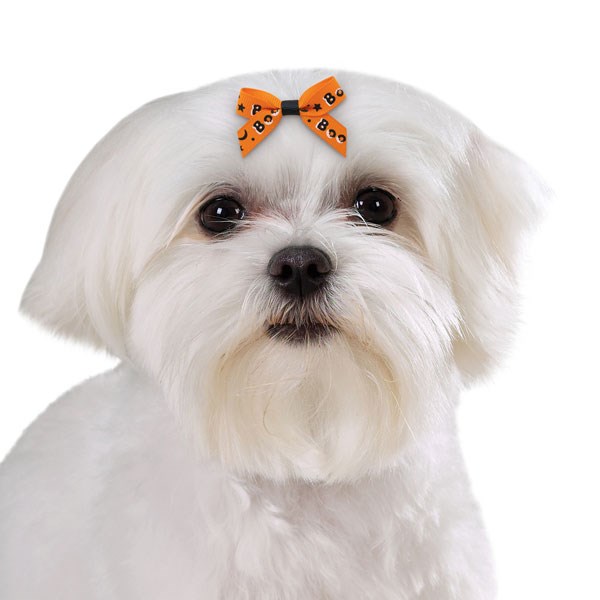 Midnight Magic Hårbånd