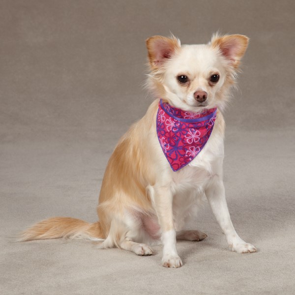 Carolina Bandana - Grønn