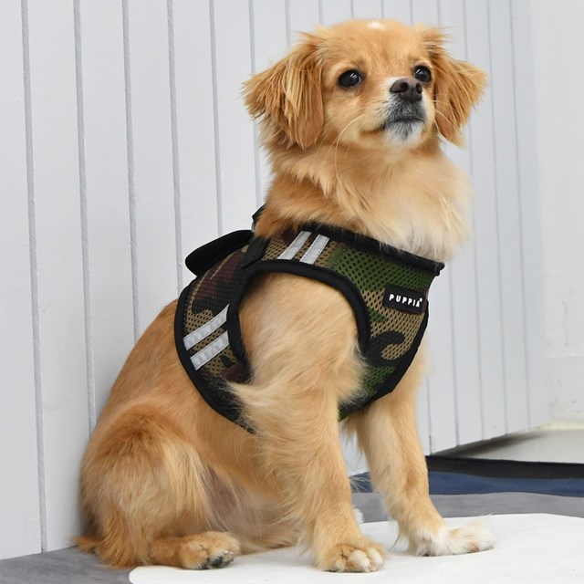 Soft Vest PRO Camo - Hundesele