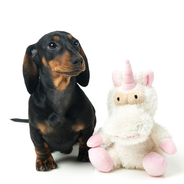 Myk Hundeleke - Electra The Unicorn