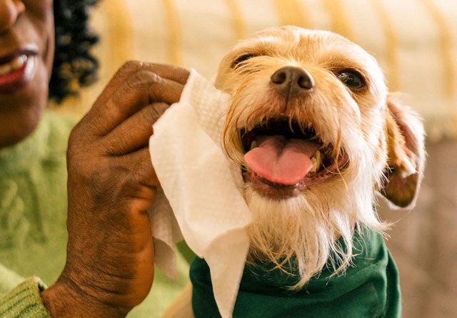 Earth Rated Wipes 100pc Unscented