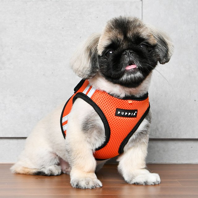 Soft Vest PRO Oransje - Hundesele