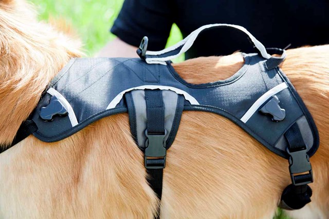 Extreme Backpack HUNDEKLØV Oransje/grå