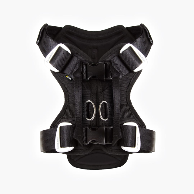 EzyDog Drive Harness – Kollisjonstestet bilsele