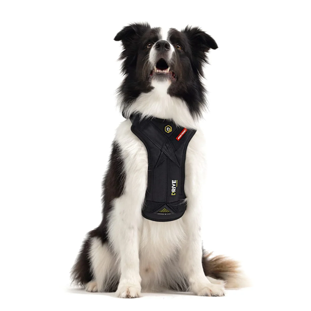 EzyDog Drive Harness – Kollisjonstestet bilsele