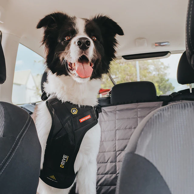 EzyDog Drive Harness – Kollisjonstestet bilsele
