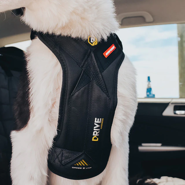EzyDog Drive Harness – Kollisjonstestet bilsele