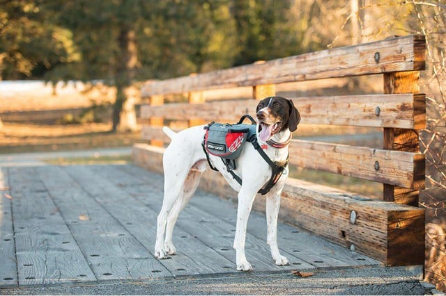 Summit Backpack - HUNDEKLØV