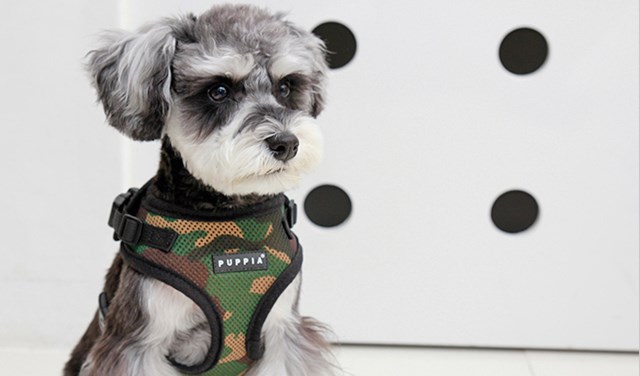 RITEFIT SOFT Camo - Hundesele