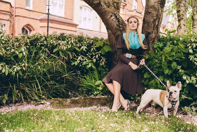 Brown & Blue Argyle - Hundesele