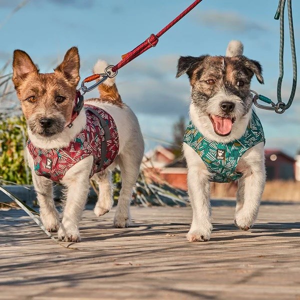 Hurtta ECO Safety Wrap