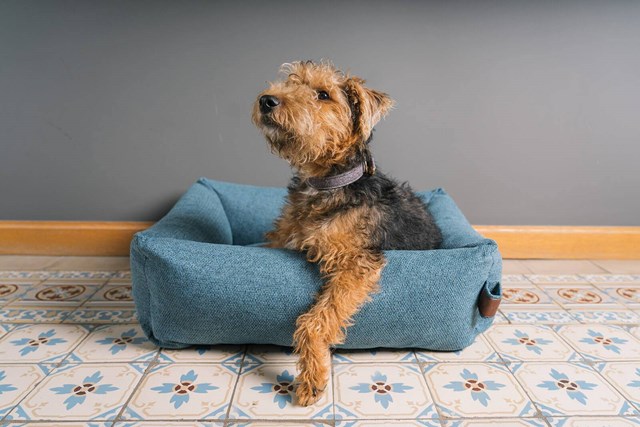 Fantail Snug Ortopedisk Hundeseng - Cosmic Blue