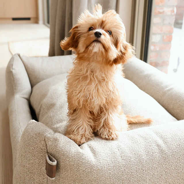 Fantail Snooze Endurance ECO Ortopedisk Hundeseng - British Tan