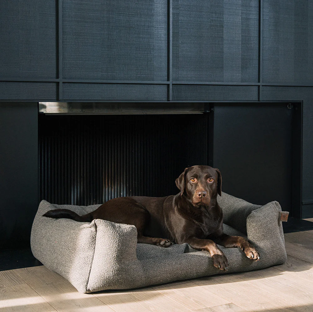 Fantail Snooze Endurance ECO Ortopedisk Hundeseng - Harbor Grey