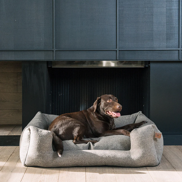 Fantail Snooze Endurance ECO Ortopedisk Hundeseng - Harbor Grey