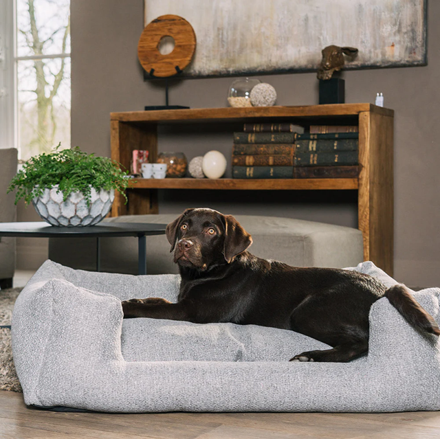 Fantail Snooze Endurance ECO Ortopedisk Hundeseng - Harbor Grey